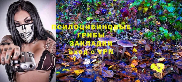 винт Сатка