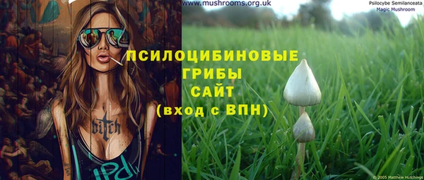Альфа ПВП Алексин