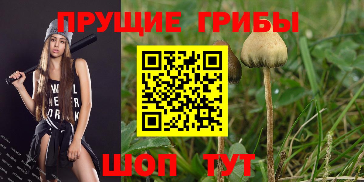 Псилоцибиновые грибы MAGIC MUSHROOMS Ишим
